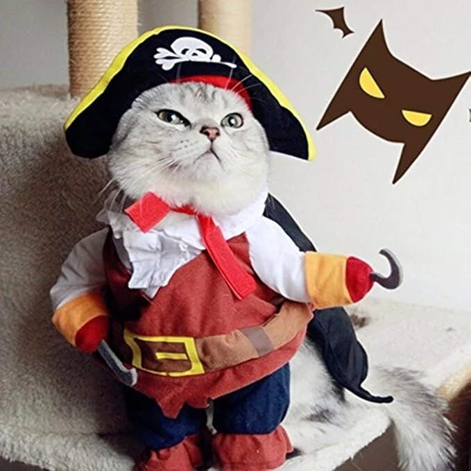 pet products New Funny Pet Clothes Pirate Dog Cat Costume Suit Corsair Dressing up Party Apparel Clothing for Cat Dog Plus Hat — image 5