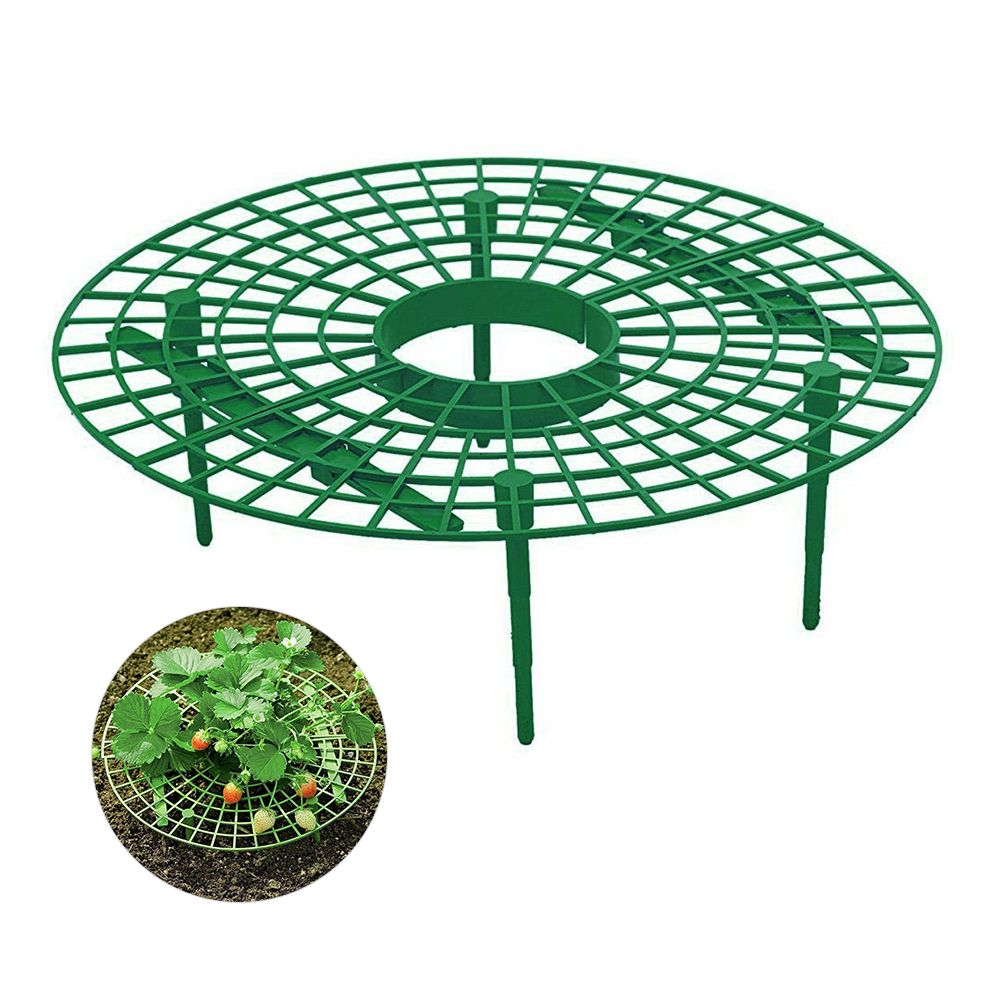 Strawberry Growing Support Practical Strawberry Rack Plant Climbing Vine Stand — image 2