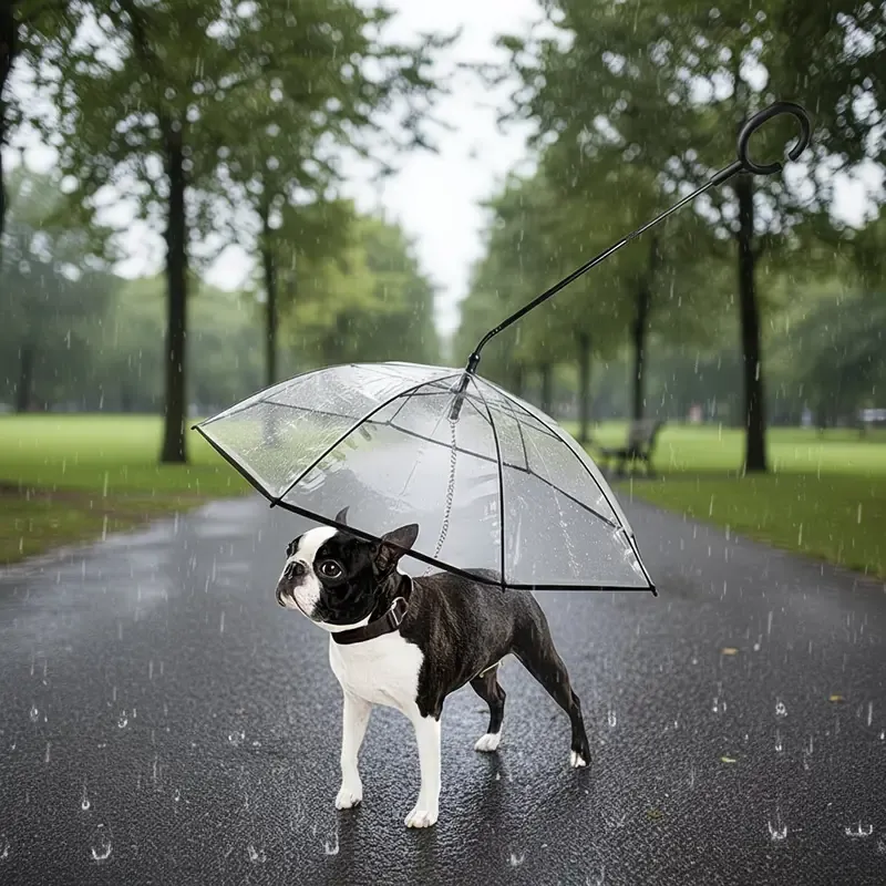 Bendable transparent pet umbrella with leash chain, rain or shine, one umbrella for outdoor pet walks — image 2