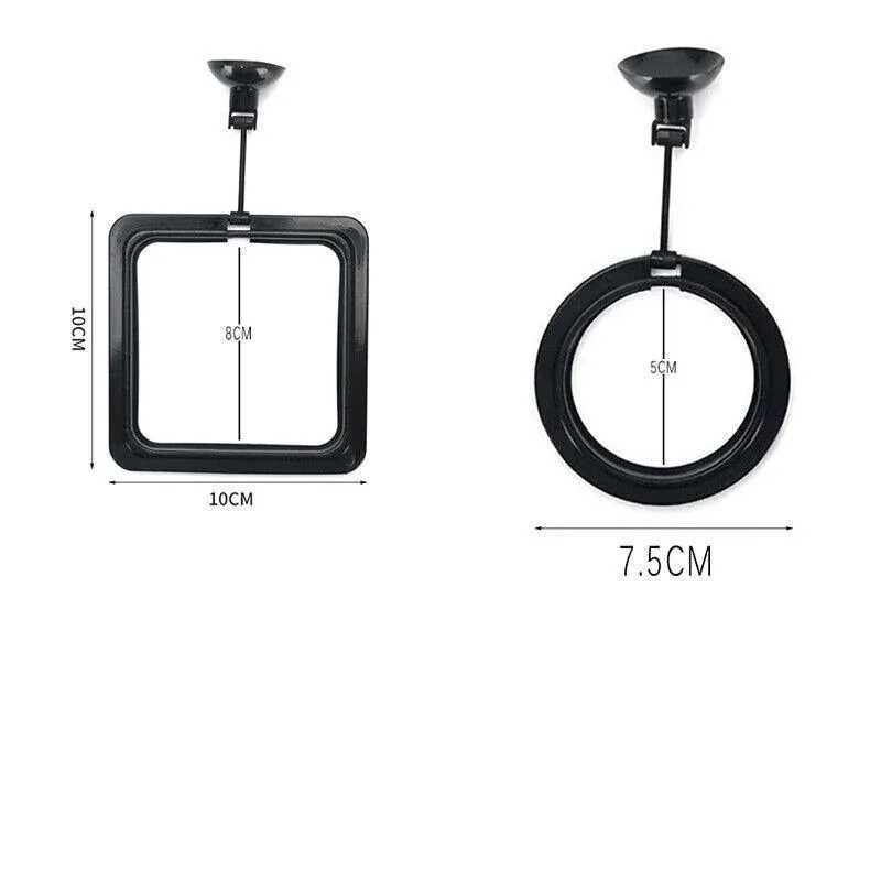 Fish Feeding Ring Aquarium Fish Tank Feeder Floating Fish Food Feeder Fish Food Black - Black Circle โ image 4