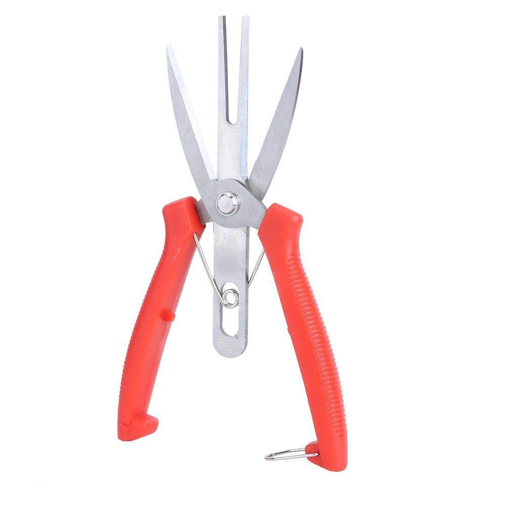 Stainless Steel Forging Apple Pear Tree Garden Scissors for Plant, Double Mouth Scissors Gardening Cutting Shears Pruning Tools — image 3