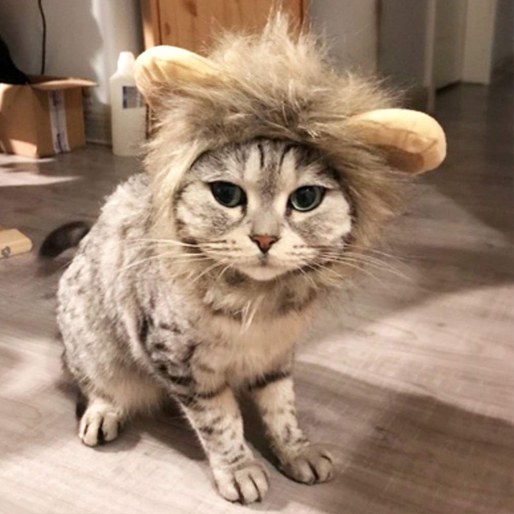 Mane Wig for Cat Pet Adjustable Washable Comfortable Hair Cat Clothes for Halloween Christmas Easter Festival Party — image 5