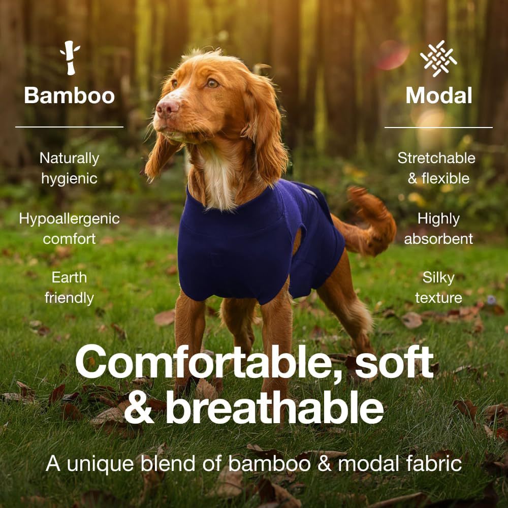 XS Blue Premium Pet Physiological Suit - Comfortable & Breathable Bamboo Modal Recovery Suit — image 4