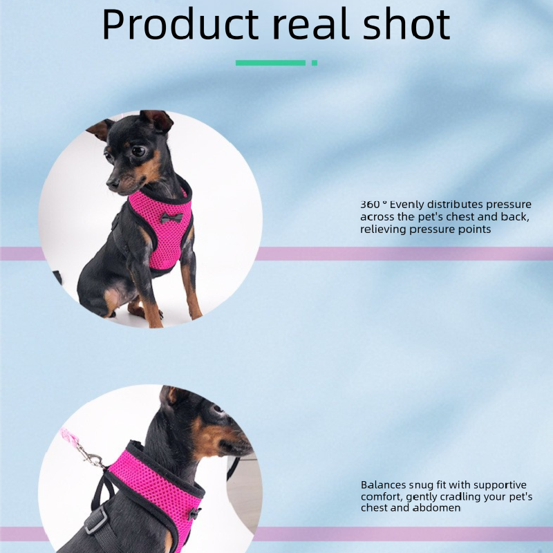 2-Pcs Black Adjustable Pet Harness with Leash – Breathable Mesh Design for Small Dogs, Cats, Chickens, Ducks & More | Anti-Escape, 360° Support — image 4