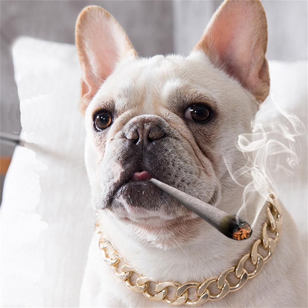Dog Chain Pet Dog Metal Gold Collar Necklace Pet Jewelry Accessories for Four Seasons — image 2