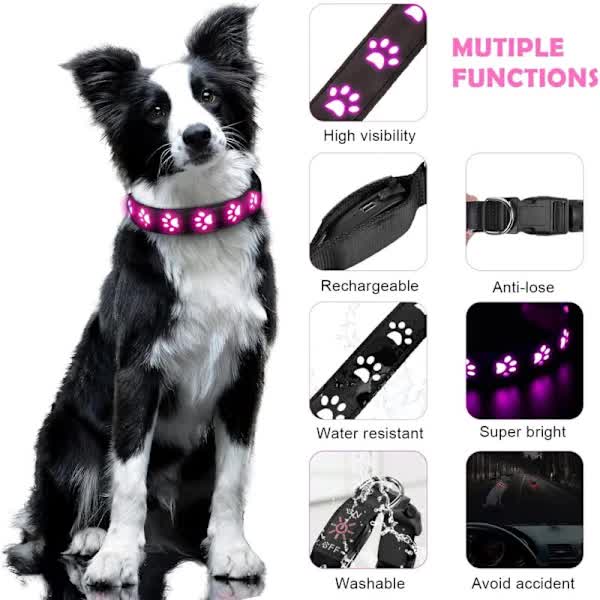 LED Luminous Dog Collar, Rechargeable and Waterproof Dog Collar, Adjustable Collar with 7 Light Modes (Colorful-M) — image 2