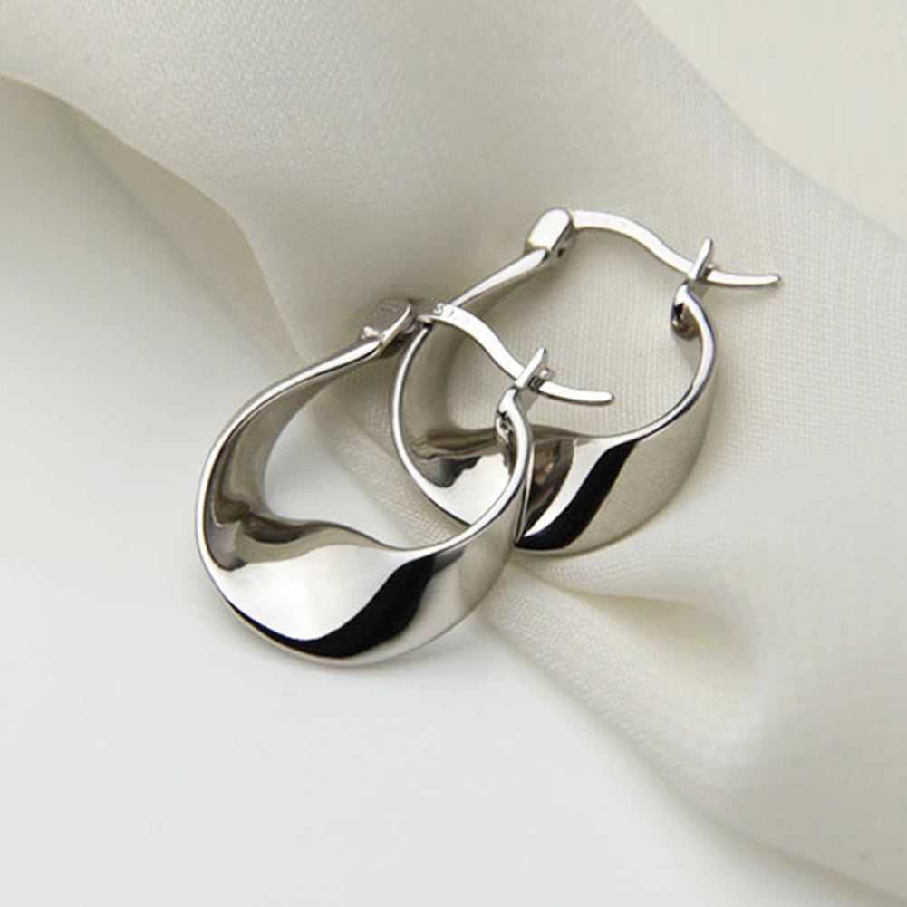 Earrings for Women, Earrings Hypoallergenic Silver Small Fashion Earring Cold and indifferent geometric twisted pattern earrings โ image 4