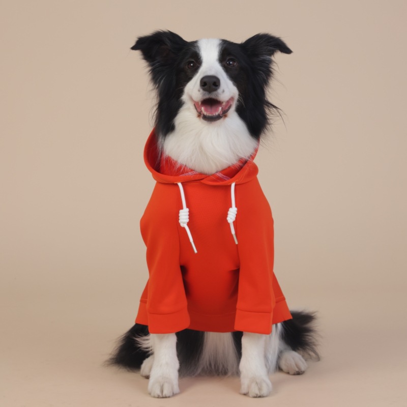 Orange Classic Dog Sweatshirt with Hood & Drawstrings - For Large Dogs (Size: 6XL) — image 2
