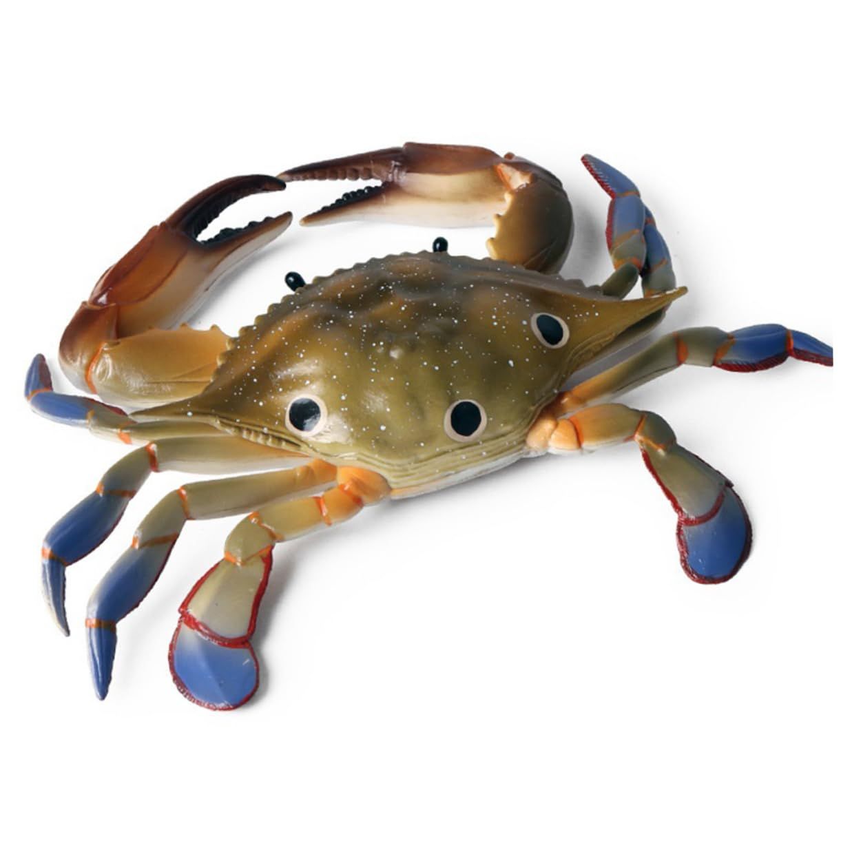 1 Piece Marine Ornament Sea Animal Model Crab Swimming Toy Ornament Models Marine Animal Ornament Ocean Crab Decorations — image 2