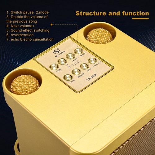 Gold Karaoke Machine with 2 Wireless Microphones Bluetooth-Compatible 5.0 for Parties — image 4