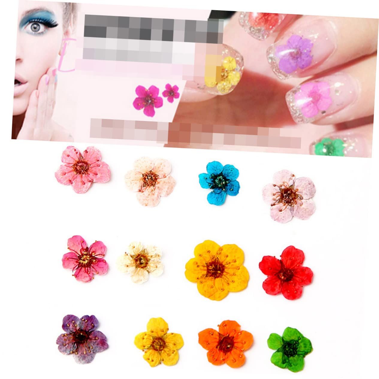 Flower Decorations 1 Box Accessories Art Plum Decals Petals Dried Supplies Manicure Nail Tips of for Sticker — image 5