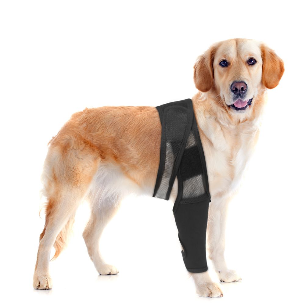 Dog Injured Leg Cover Pet Injury Leg Dog Leg Sleeves Paw Dogs Lick Safe Puppy Knee Dog Bandages for Wounds Knee Pads M โ image 3