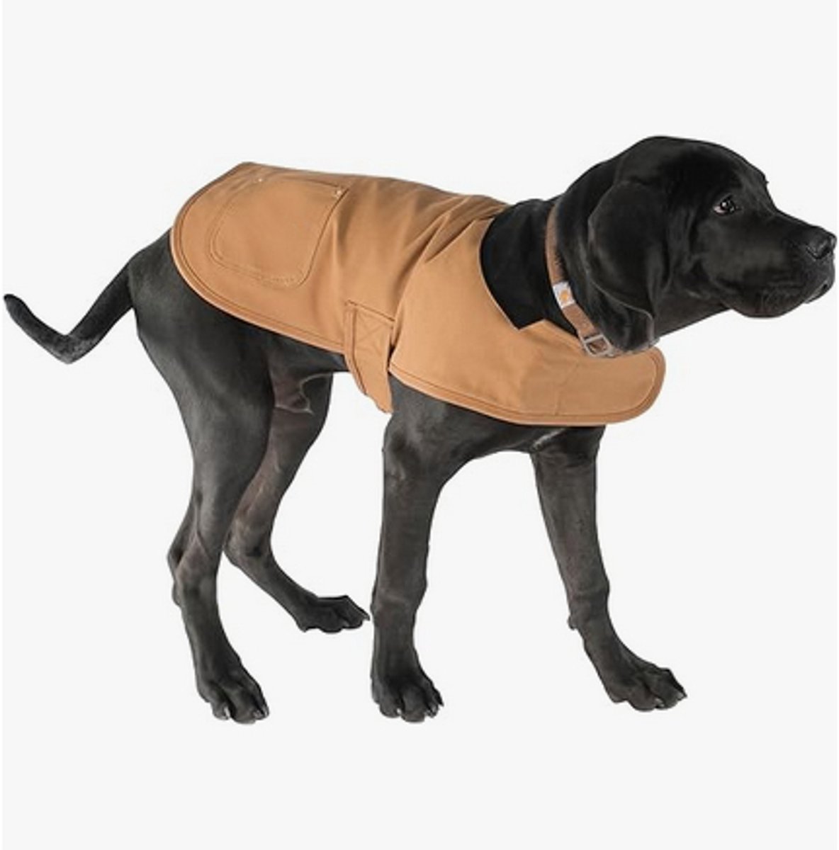 Dog Coat - Dog Overalls - Warm Dog Coat - Synthetic Dog Coat - Perfect for Cold Weather - Windy Weather - Pet Clothing - Size M - Warm Clothing - Outerwear — image 4