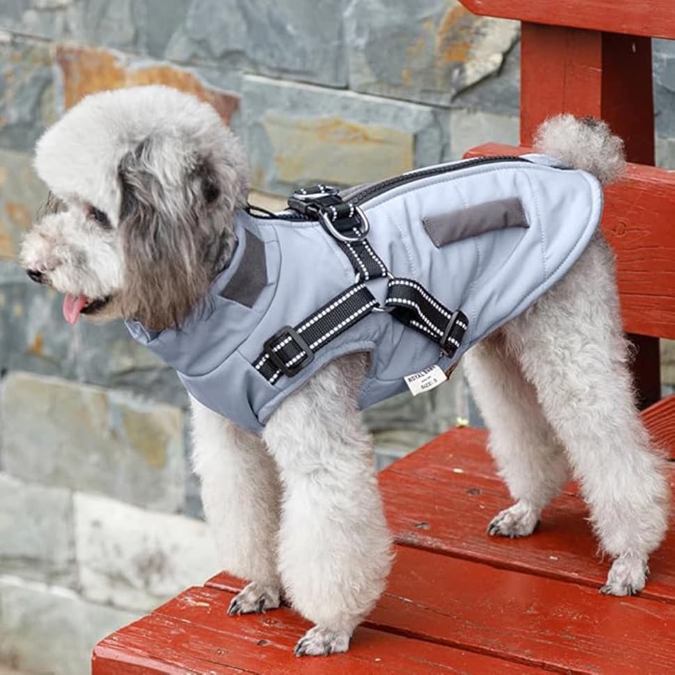 Warm Soft Winter Dog Vest with Stand Collar, Wind and Waterproof, Blue, S M L XL — image 6