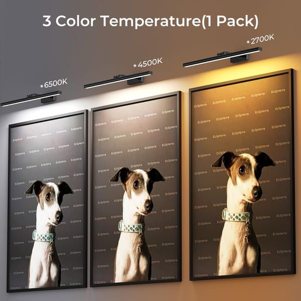Modern LED Picture Light for Art Display, Sleek Black Finish โ image 4