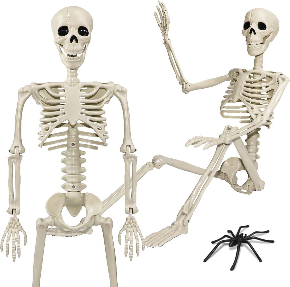 Halloween Skeleton 36-Inch Skeleton Poseable Skeleton Halloween Decorations - White - Size 2 Pcs — image 2