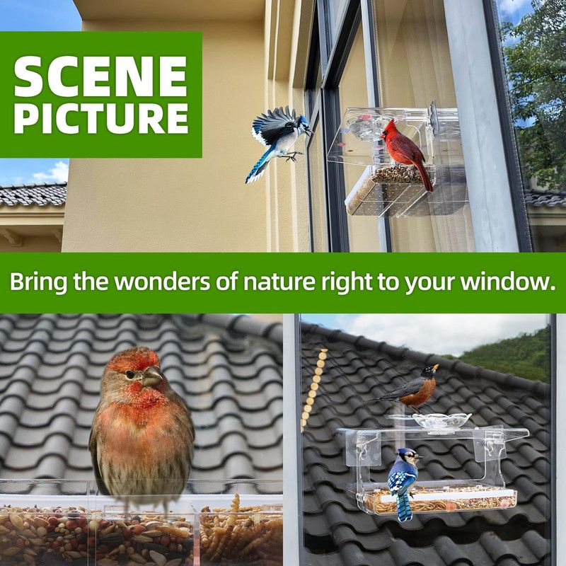 Window Bird Feeder with Non-Marking Self-Adhesive Hooks, Clear and Transparent, Outdoor Wild Bird Watching Gift, Garden Decor โ image 6