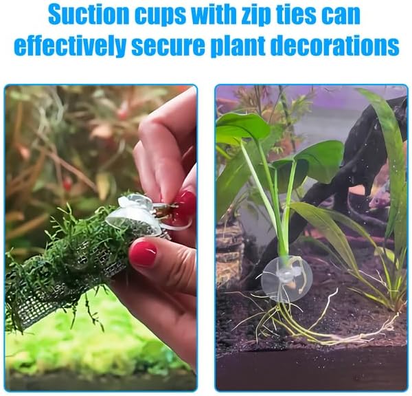 20 Pack Suction Cups with 40 Zip Ties for Aquarium Fish Tank Decoration Moss Shrimp Nest — image 4
