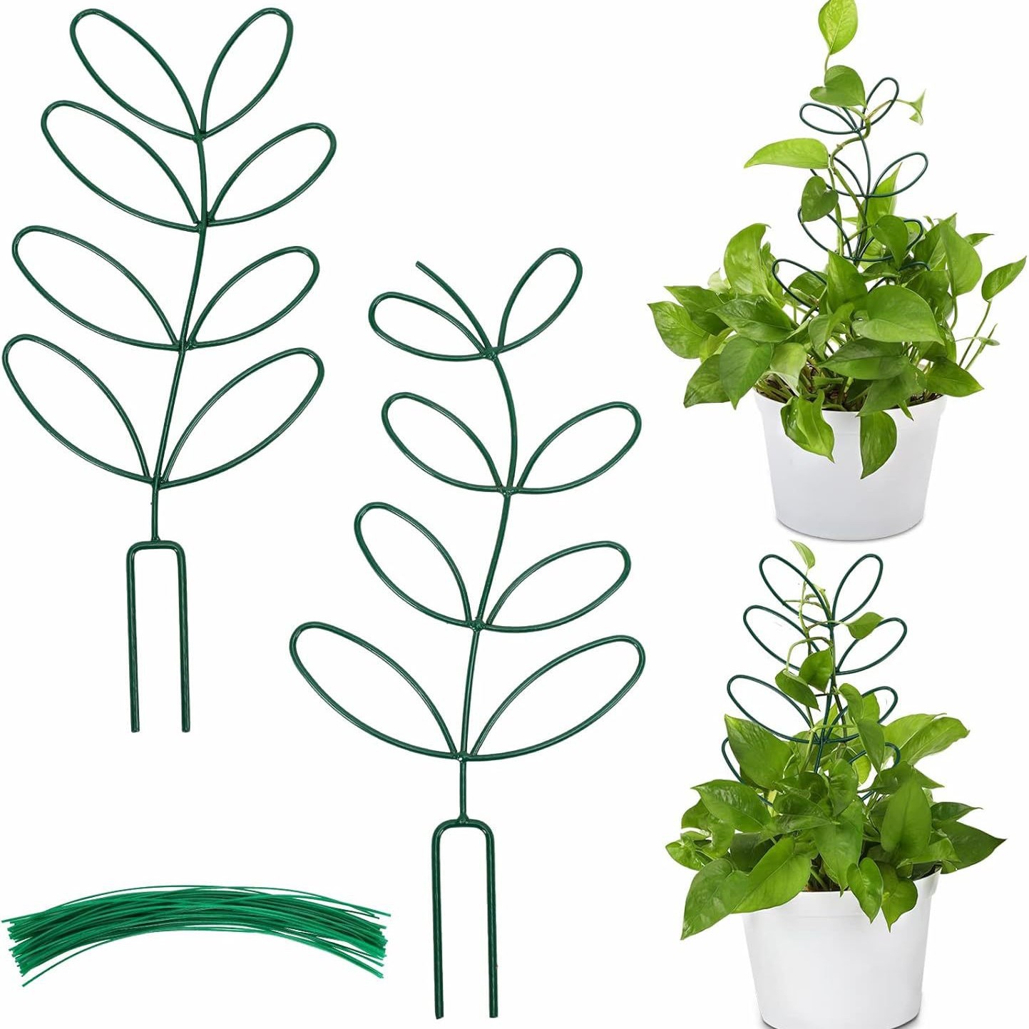 Leaf-Shaped Metal Plant Support Stakes with 20 Tie Straps, Decorative Climbing Trellis for Indoor Houseplants, Green