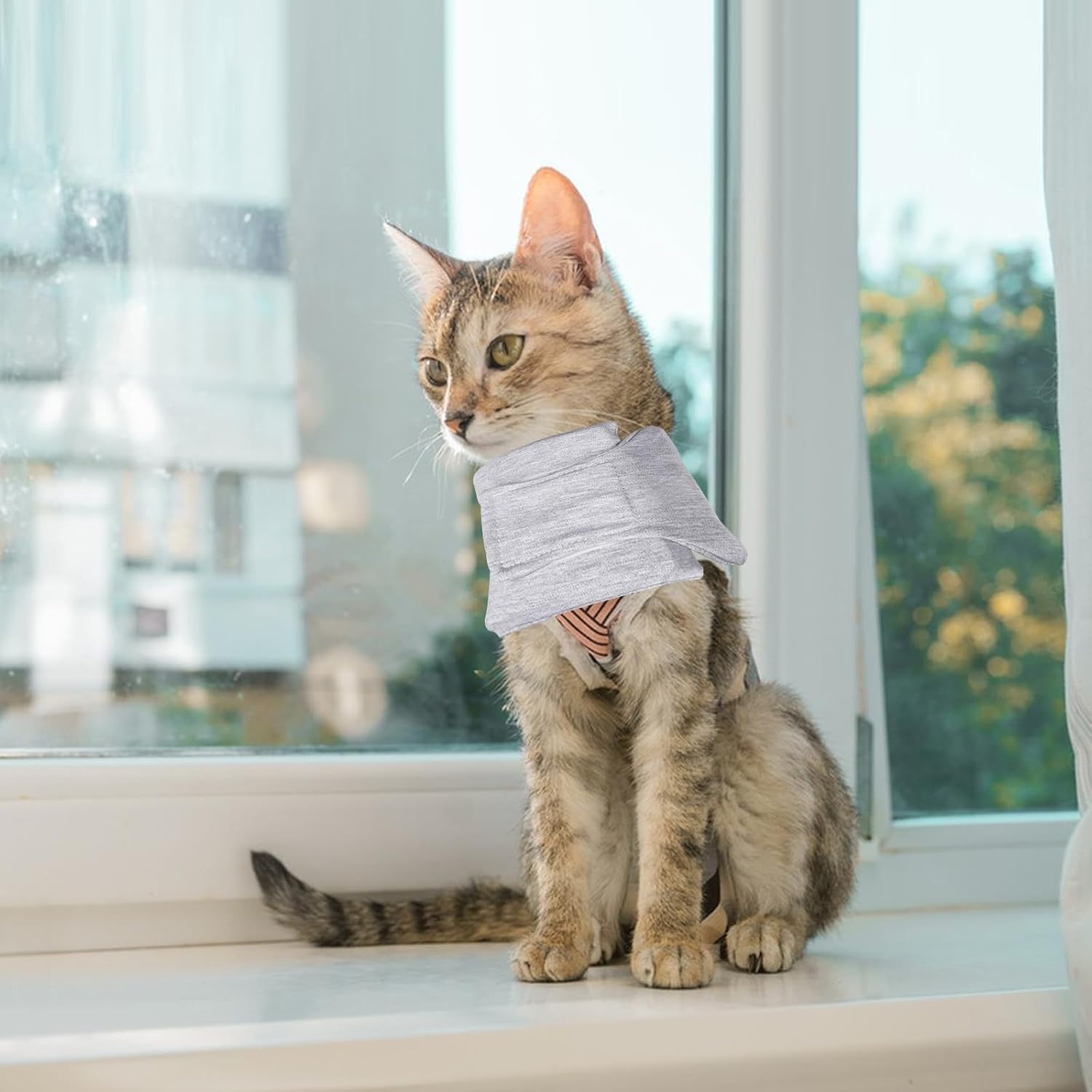Soft Protective Collar for Cats & Small Dogs - Comfortable Adjustable (21-26 cm) - Set of 1 — image 5