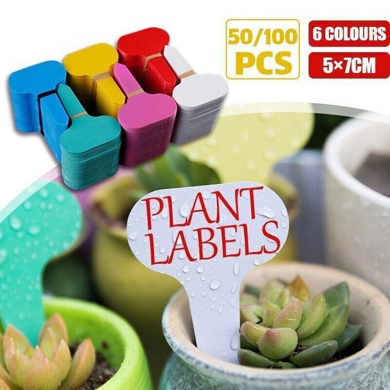 T Plant Labels 50-100Pcs 6 Colours Garden Stakes Markers Tags Nursery Seedling - White — image 2