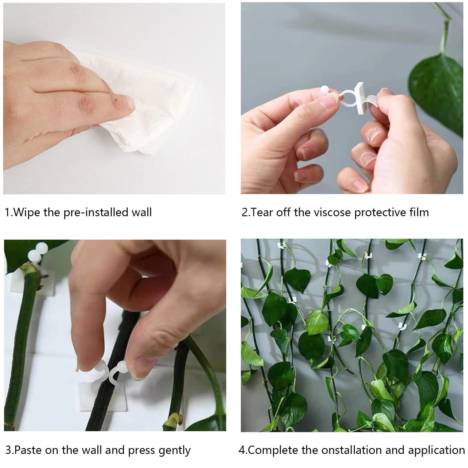 Plant Climbing Wall Fixture Clips,100Pcs Plant Fixer Self-Adhesive Hook,Garden Vegetable Plant Support Binding Clip Invisible — image 4