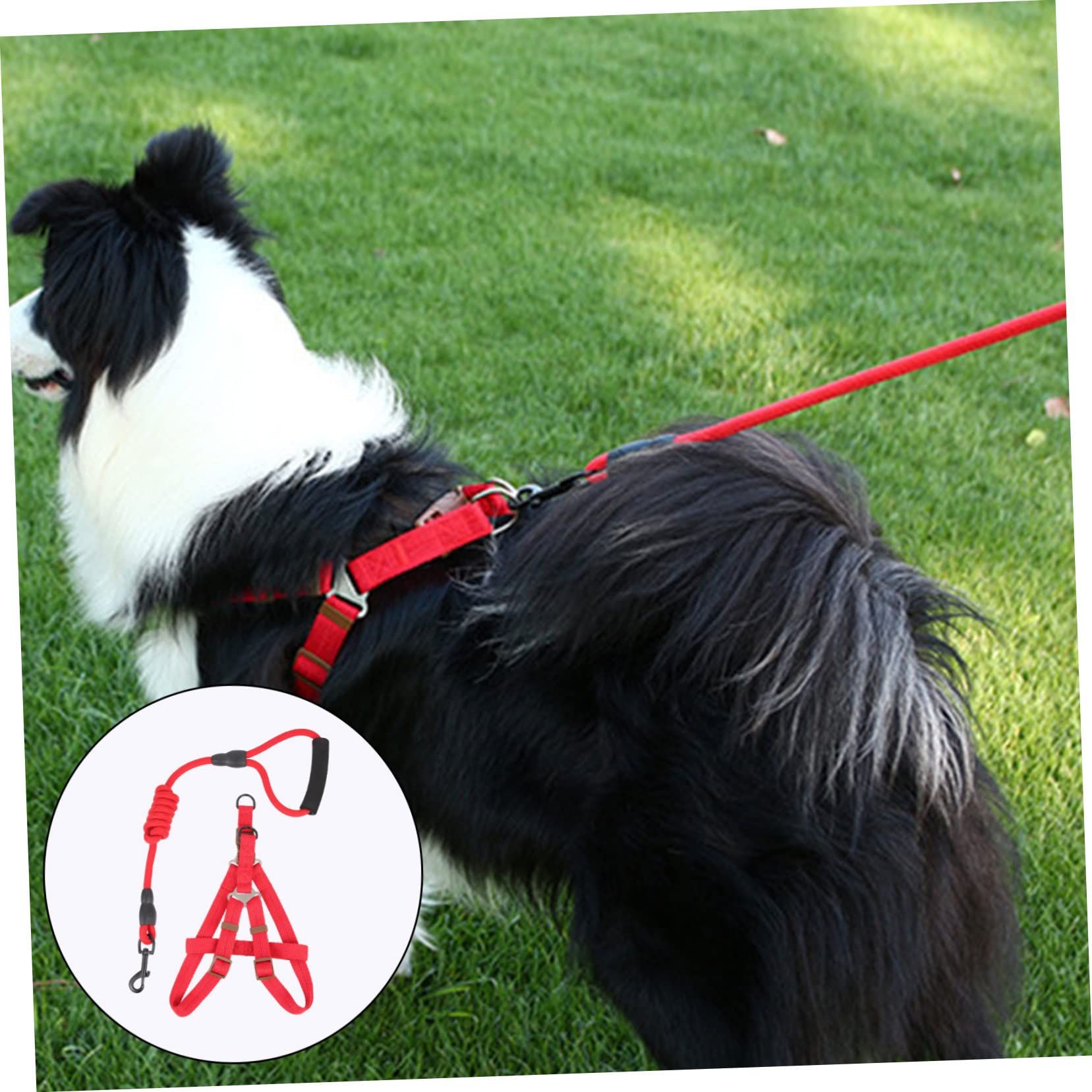 1 Set Pet Leash Dog Walking Leash Kit Puppy Vest Leash Small Dog Harness Puppy Vest Rope Kit Pet Walking Supplies Dog Harness — image 5