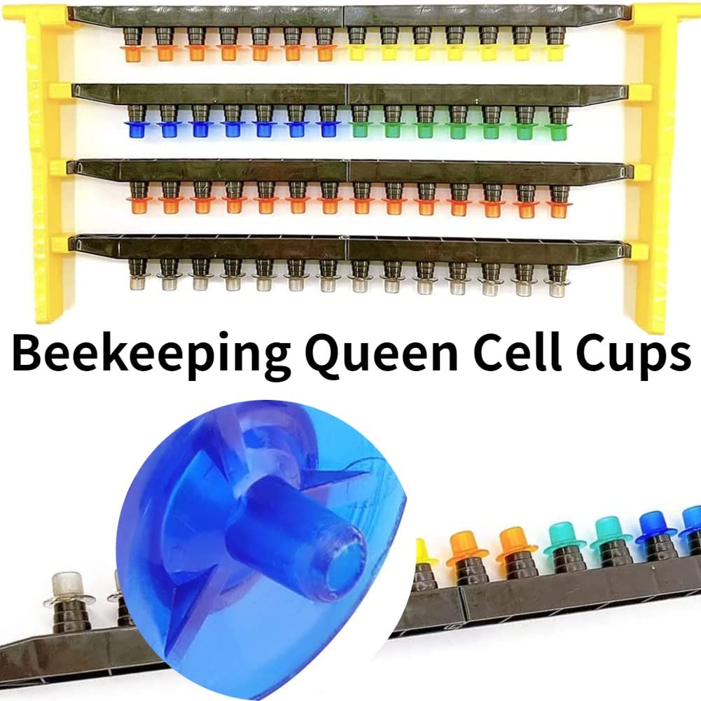 100pcs Queen Bee Cell Cups, Beekeeping Apiculture Queen bee Rearing Supplies Way Bees Escape Equipment Beekeeping (Blue) — image 3