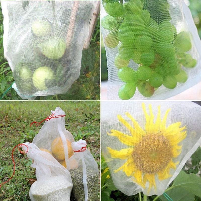 50X Fruit Net Bags Agriculture Garden Vegetable Protection Mesh Insect Proof - 45 × 30(50 PCS) — image 5