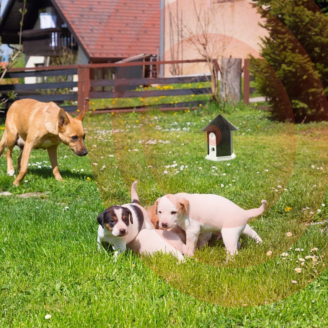 Bark Box Dog Barking Control Devices — image 4