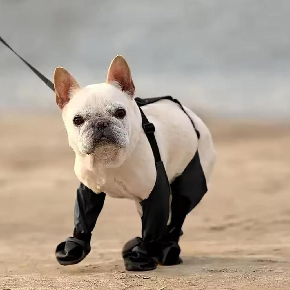 Waterproof Pet Boots Dog Rain Shoes for Outdoor Use - L — image 3
