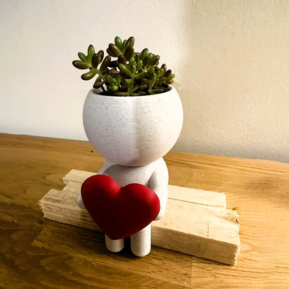 Home Decor Succulent Air Planter Stand,Air Plant holder, Air Plant Lover Gift Desk Decor โ image 4