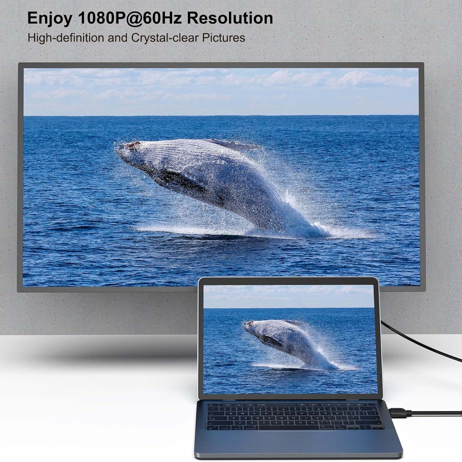 BENFEI HDMI to DVI, Bi Directional DVI-D 24+1 Male to HDMI Male High Speed Adapter Cable — image 3