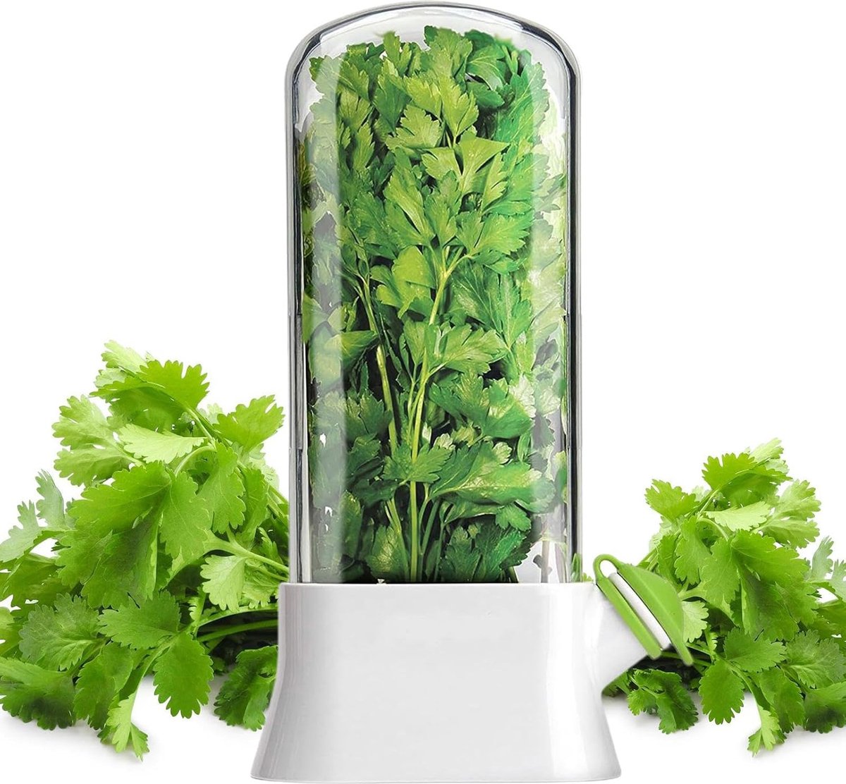 Herb Container - Herbs - Herb Jars - Fresh Keeper - Herb Vanilla Storage Container - BPA-Free - Keep Fresh - Coriander, Asparagus, Parsley and Mint - Free Herb — image 5