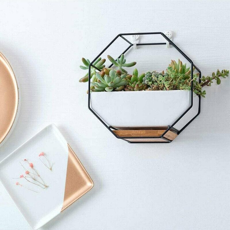 Flower Plant Pot Indoor Outdoor Garden Wall Hanging Succulent Planter Pot Vase A โ image 5