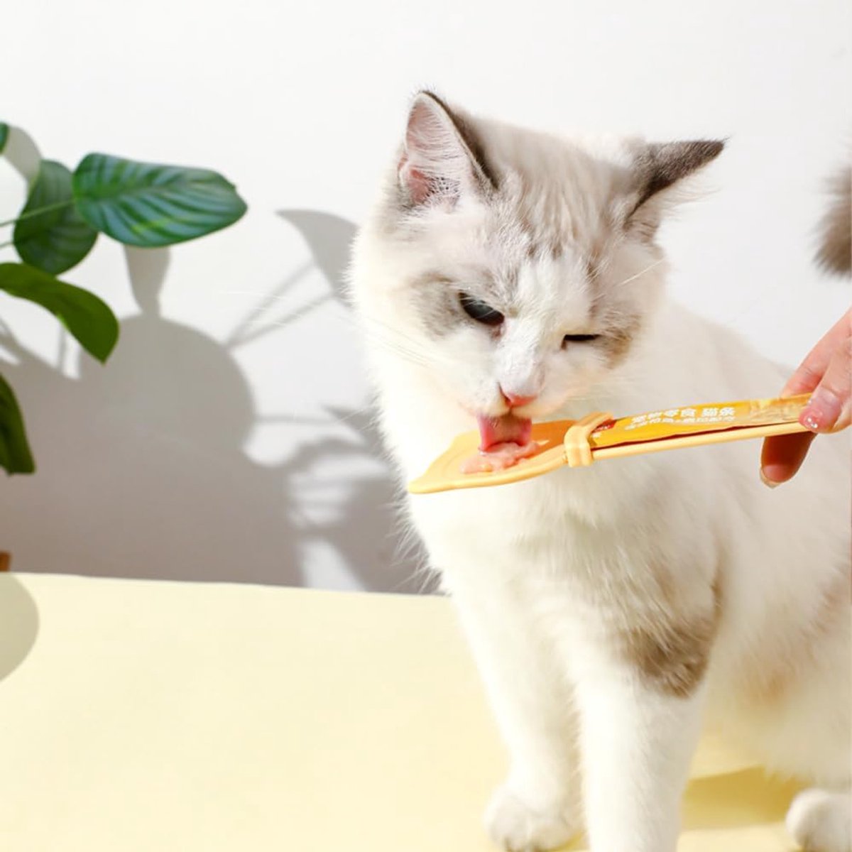 spoon for cats - Squeeze spoon for cat food - Feeding spoon for cat treats - Feeding spoon for wet food - Lick spoon for liquid cat food - Set of 3 โ image 5