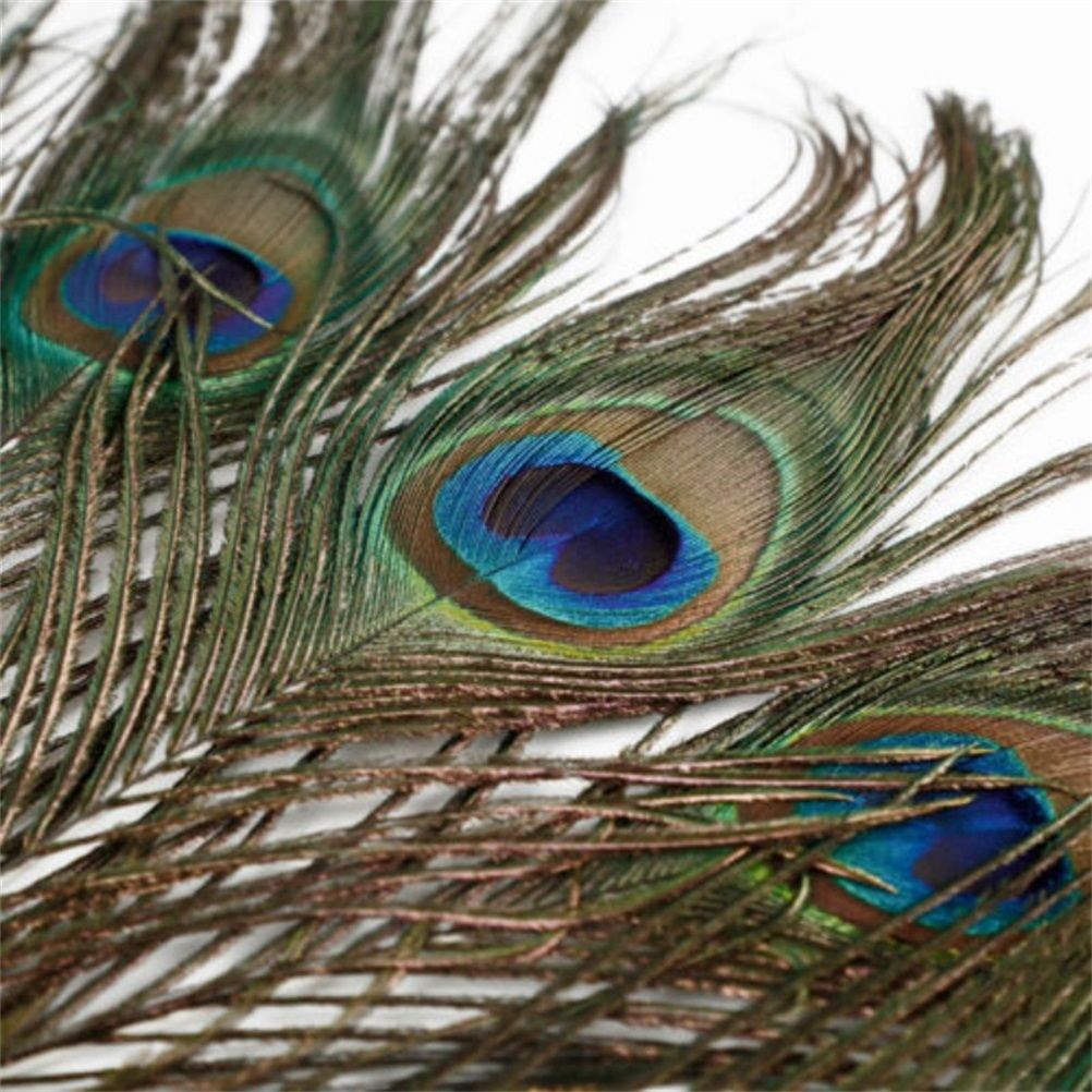 10PCS Natural Peacock Feather for House DIY Craft Holiday Wedding Decorations — image 3