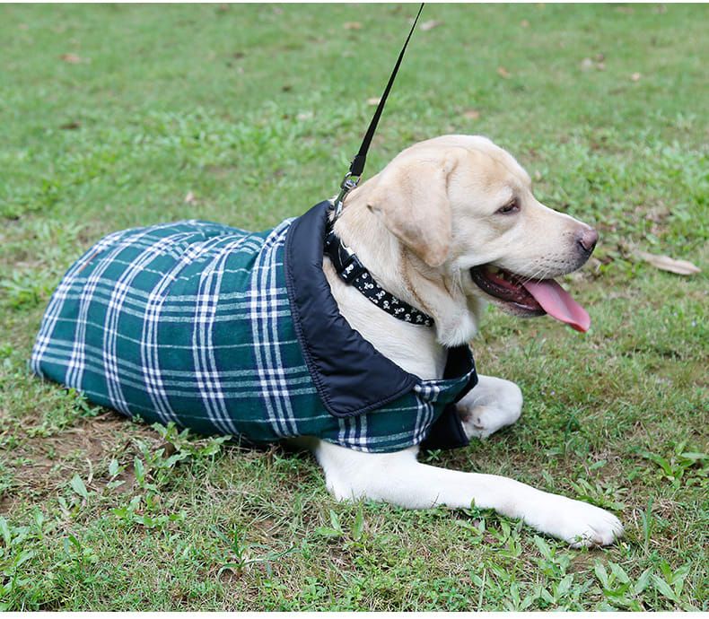 Reversible Winter Dog Coat with Plaid and Quilted Sides, Warm Cotton-Filled Vest for Outdoor Walks, Adjustable Velcro Straps for a Secure Fit (S, Green) — image 5