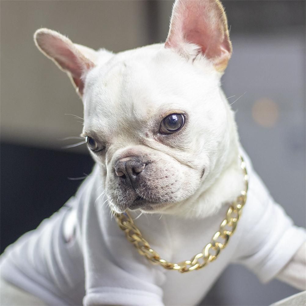 Dog Chain Pet Dog Metal Gold Collar Necklace Pet Jewelry Accessories for Four Seasons — image 3