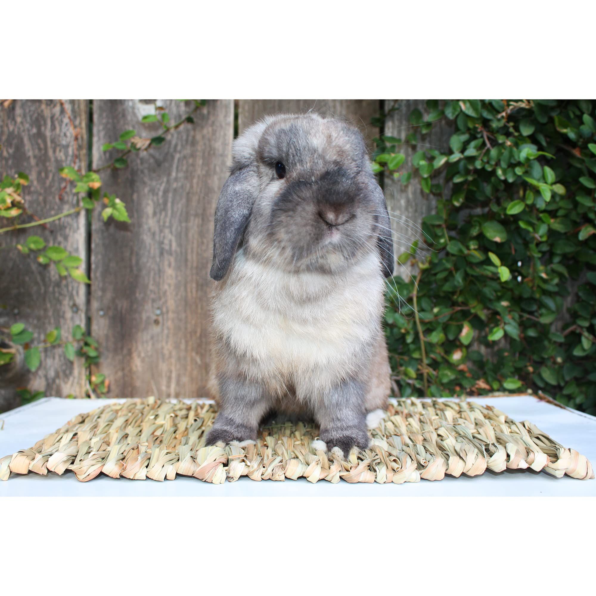 2pcs Woven Grass Mat - All Natural Chewable Grass Mat for Small Pets Pig Foot Mat Rabbit Grass Nest Pet Supplies(small size) — image 3