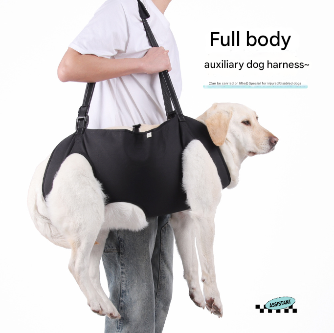 Black Pet Support Harness for Senior and Disabled Dogs - Adjustable Chest and Back Support Leash(Size M) — image 2