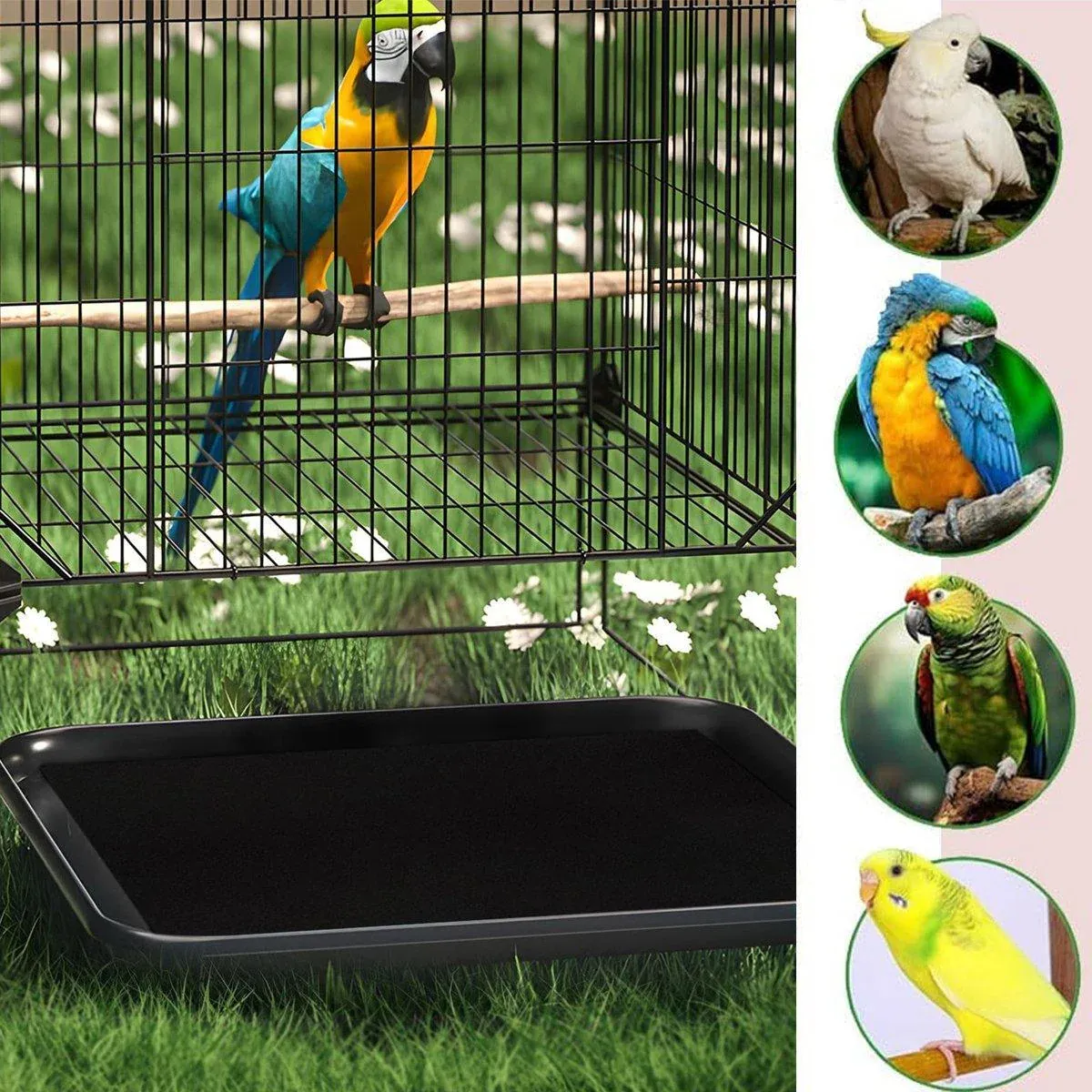30pcs Disposable Birdcage Liner Pads Pet Cage Liner Bedding for Birds and Parrot โ image 6