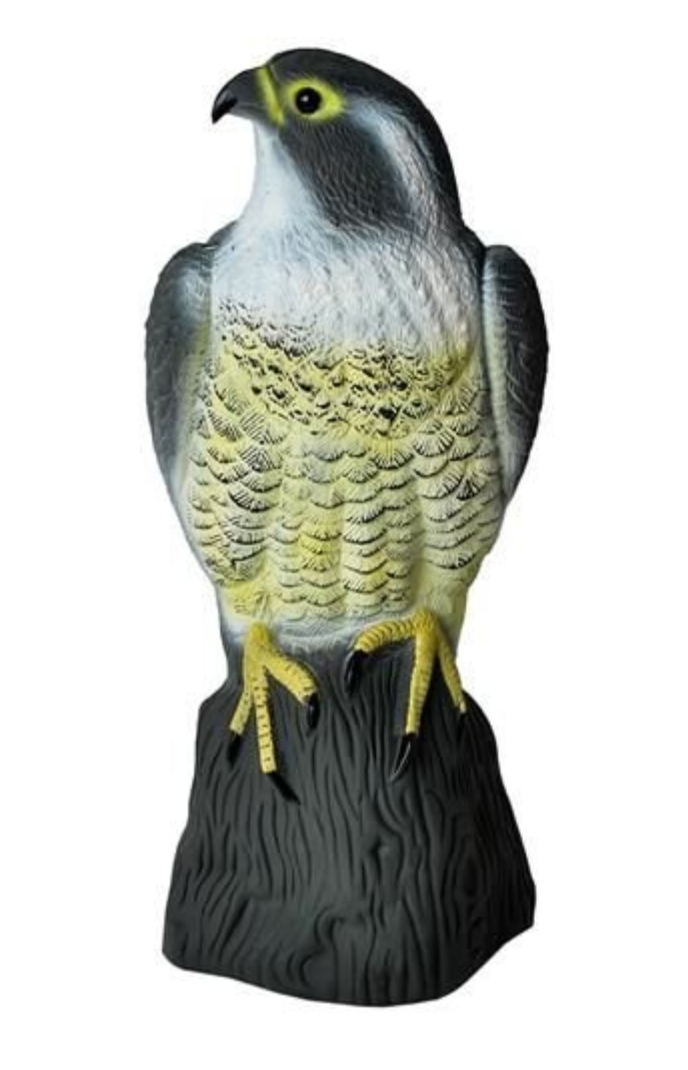 Eagle Scarecrow Repellent Deterrent for Birds — image 4