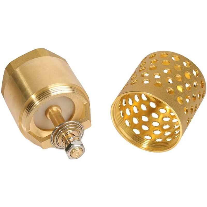 1 Inch Pump Check Valve - Foot Valve Strainer Check Valve (1 Inch) โ image 2