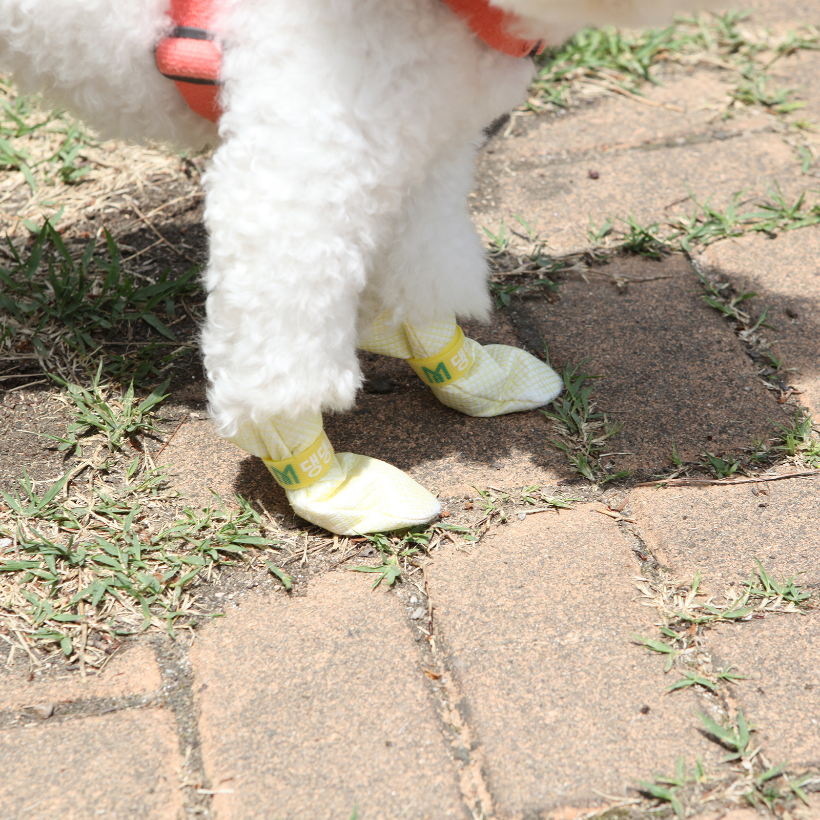 28pc X Dog Shoes Waterproof Disposable Boots Anti-Slip Pet Socks M VIOLET — image 3