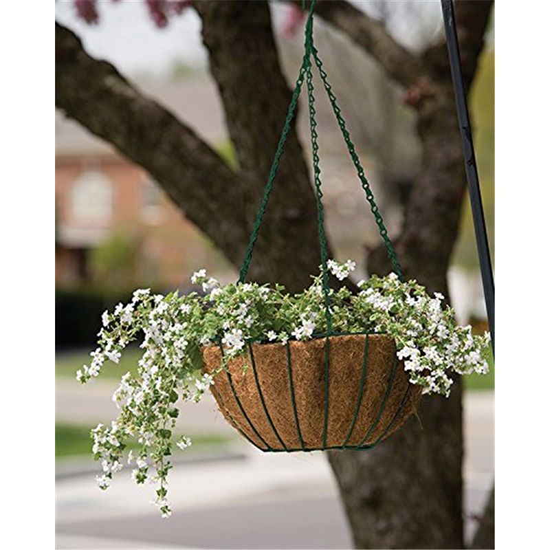 Series Hanging Basket, 8-Inch with Chain Metal Hanging Baskets for Plants Outdoor Hanging Flower Pots Outdoor Decorative Round Wire Plant Holder — image 4