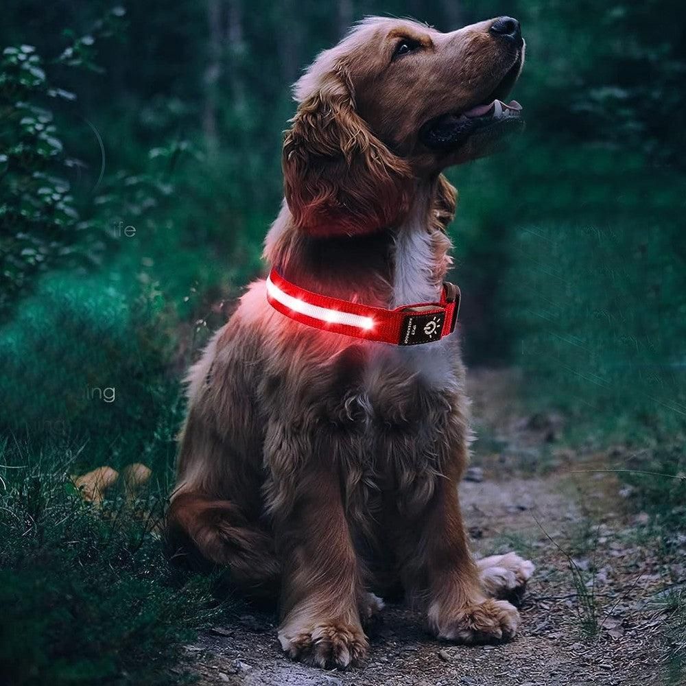 Luminous LED Pet Dog Collar Light-up USB Rechargeable Dog Collar Red - S โ image 2