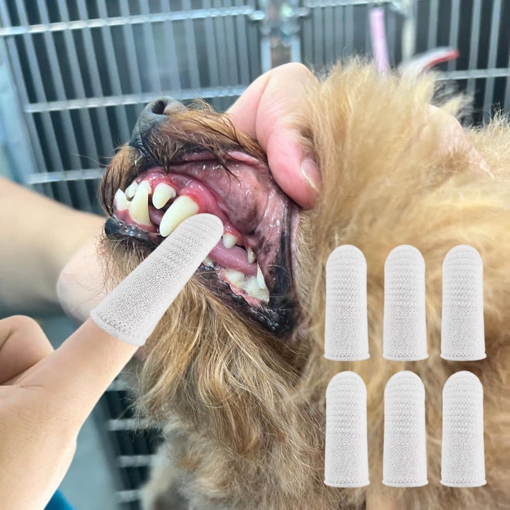 20 Pack Pet Finger Brush for Dogs and Cats, Gentle Teeth Cleaning, Reusable, Compatible with Oral-B — image 3