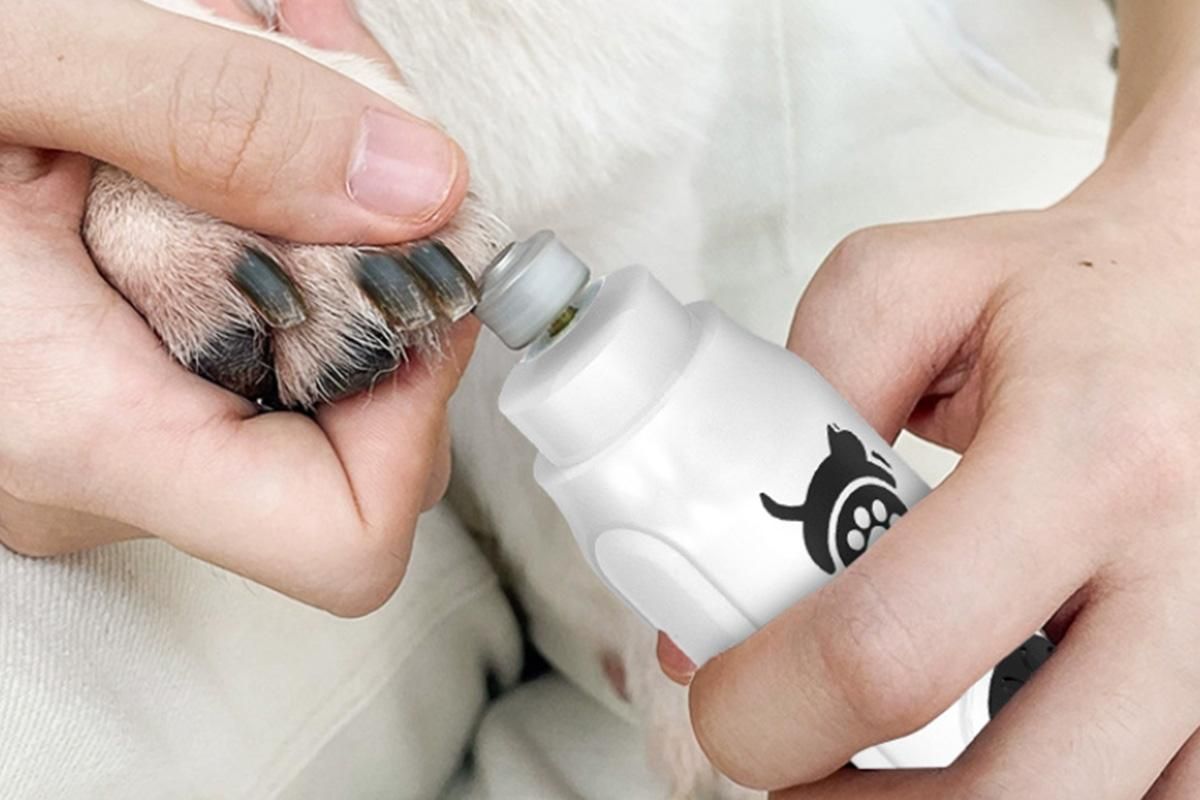 Pet Nail Grinder with LED Display Dog Nail Trimmers With 3 Speeds For Small Large Dogs And Cats β image 5