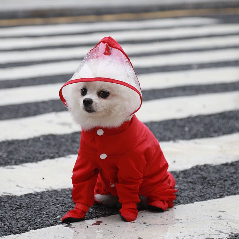 Green M size Full Coverage Pet Raincoat Jumpsuit Waterproof Dog Rain Suit with Attached Shoes and Tail Cover-Lightweight Hooded Dog Poncho for Small Dogs โ image 6